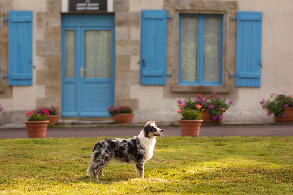 Unique en son genre du Domaine des Trois Mas