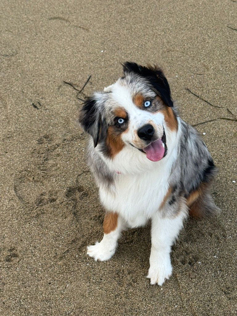 Vishnou du Domaine des Trois Mas