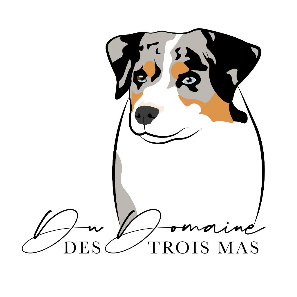 du Domaine des Trois Mas - Nouveau logo