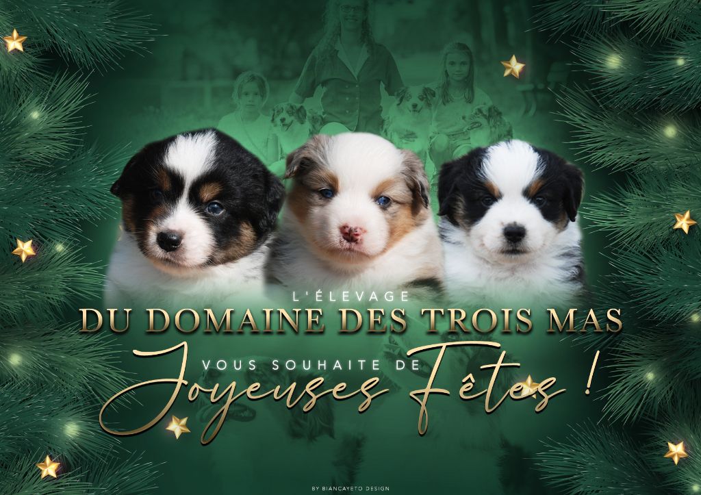 du Domaine des Trois Mas - Joyeux Noël et Bonne année